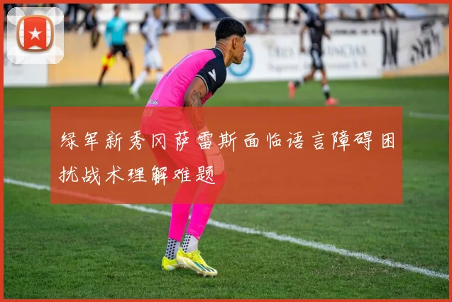 绿军新秀冈萨雷斯面临语言障碍困扰战术理解难题