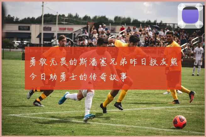 勇敢无畏的斯潘塞兄弟昨日救灰熊今日助勇士的传奇故事